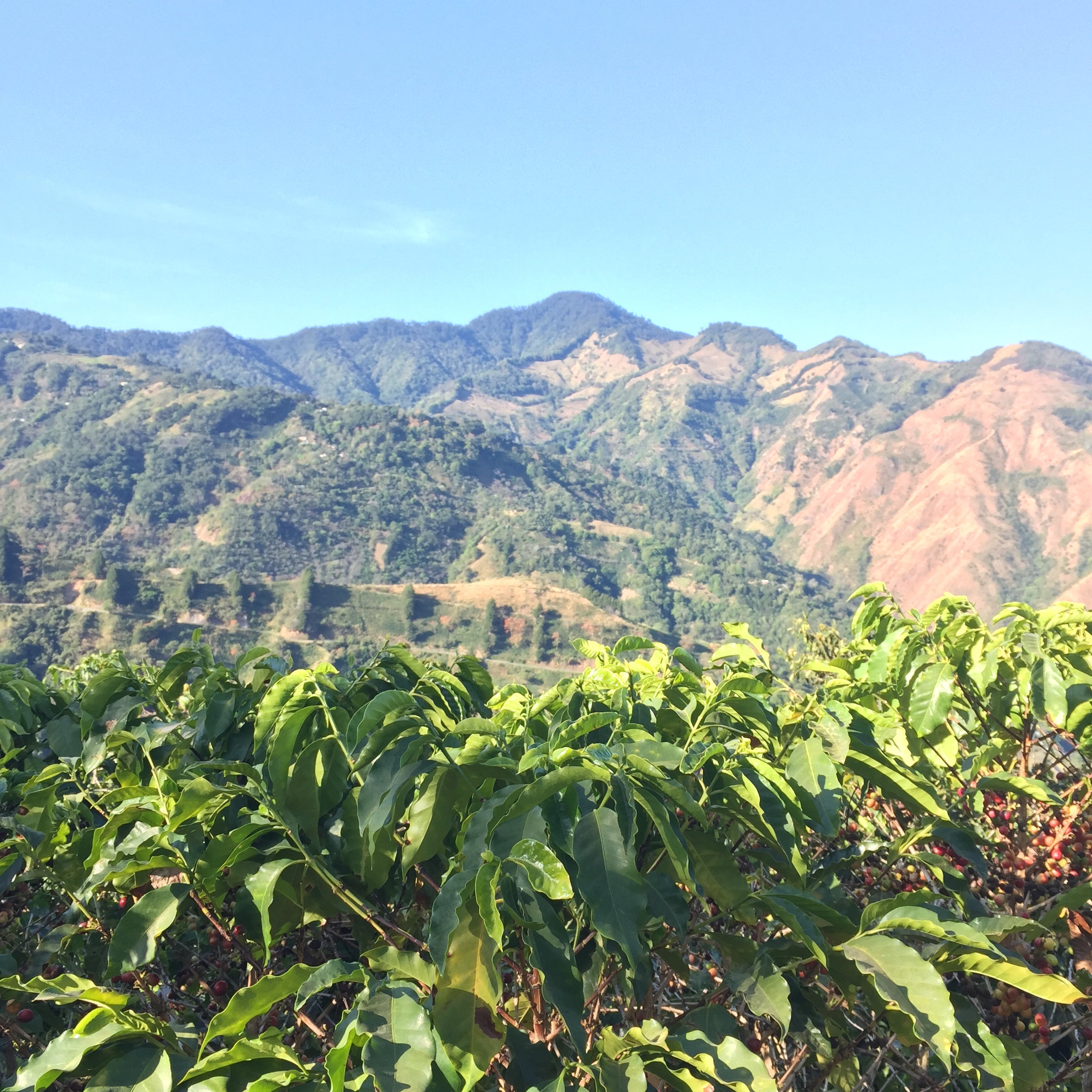 MARCH UPON A MIGHTY THRONE, Costa Rica
