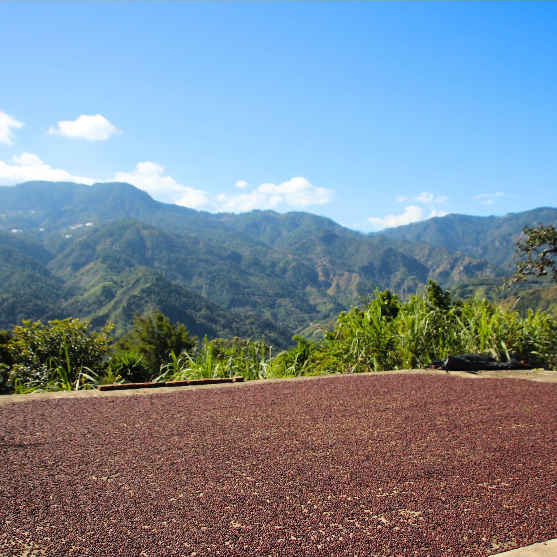 A SPIRITUAL BYPASS, Honduras
