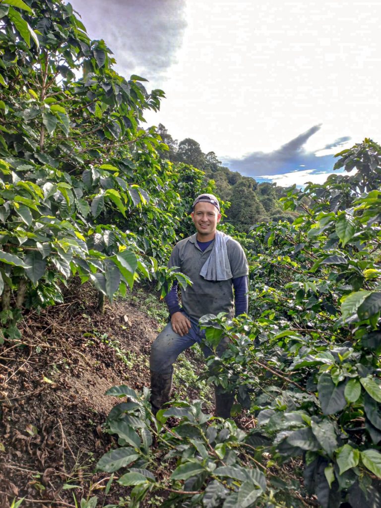 STARE INTO DEATH AND BE STILL, Colombia