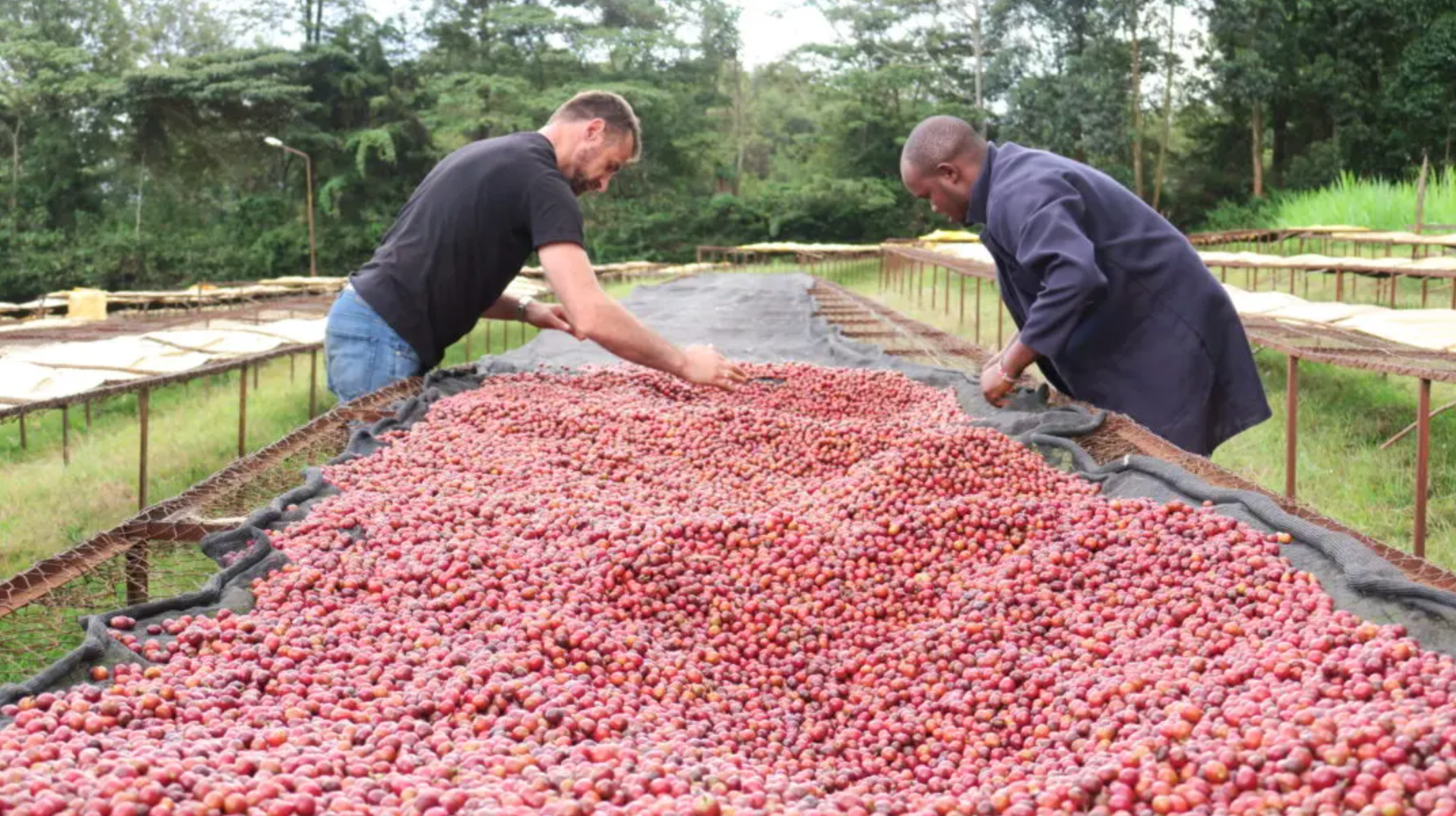 ALCHEMY IN THE SUBYEAR, Kenya
