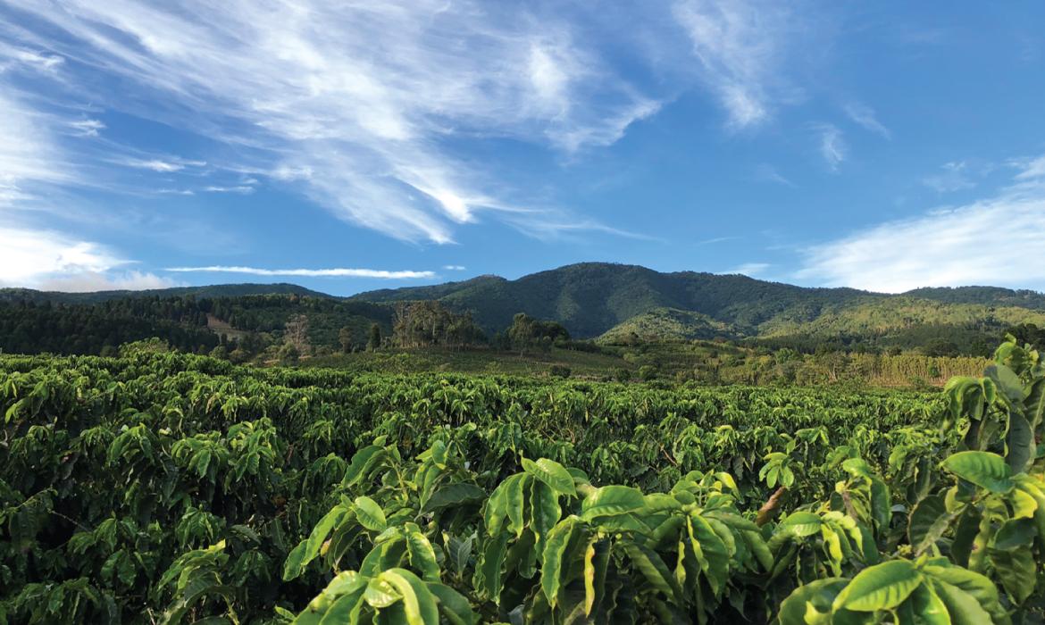 PURGATORY DISPLACEMENT, Costa Rica