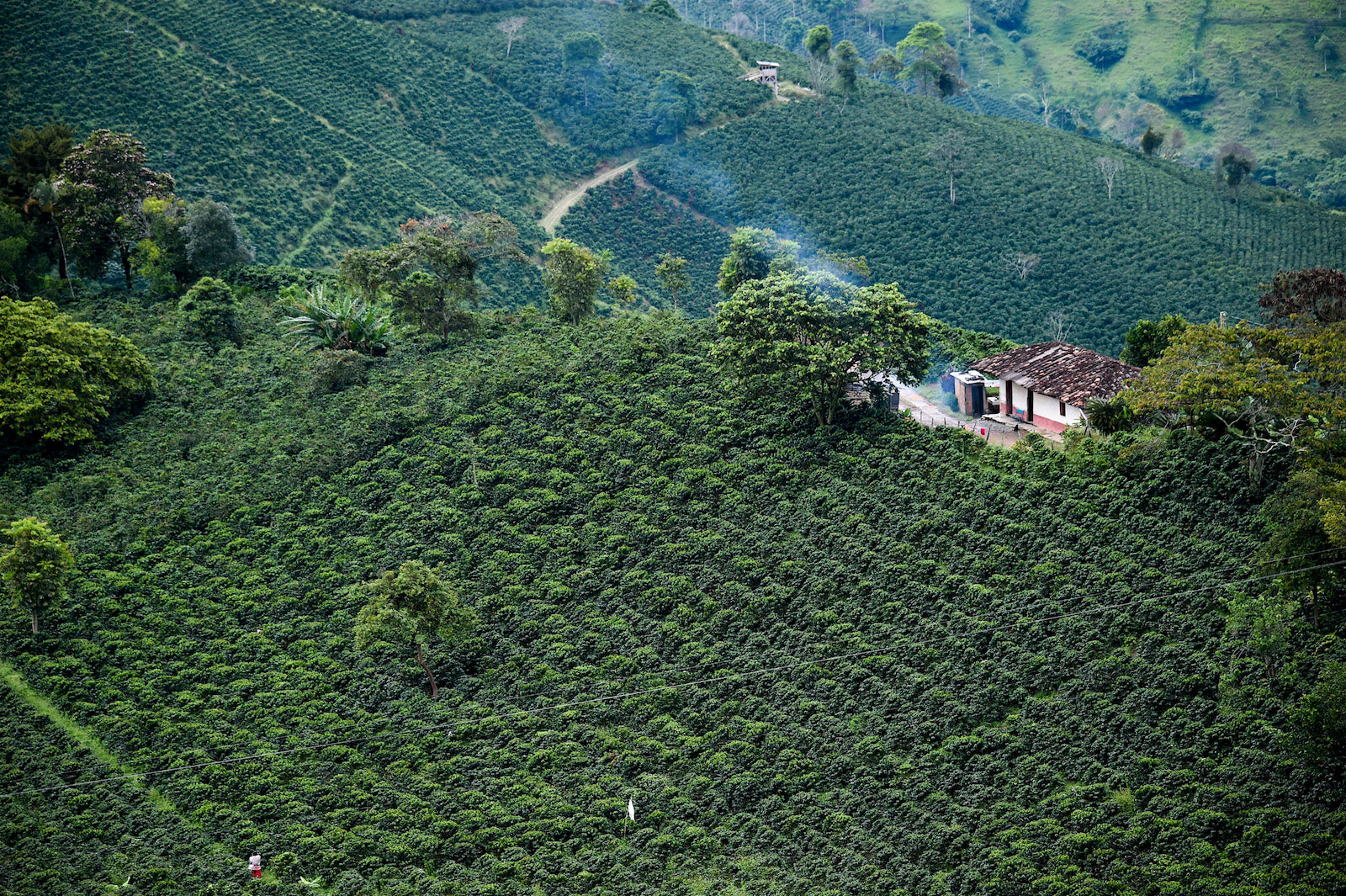 SLAIN IN SPIRIT, Colombia