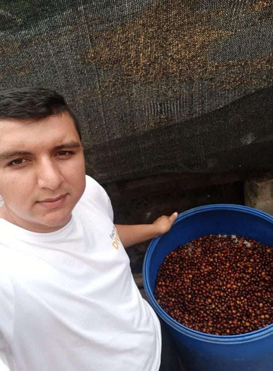 CUPIO DISSOLVI, Colombia