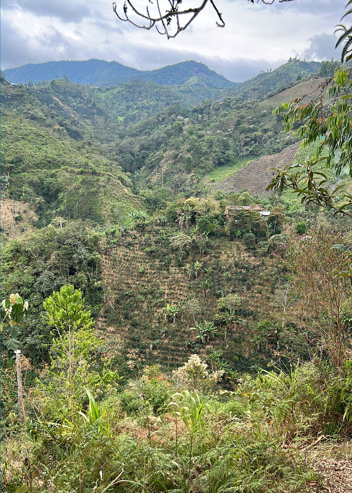 ALL BRIDGES BURNED, Peru