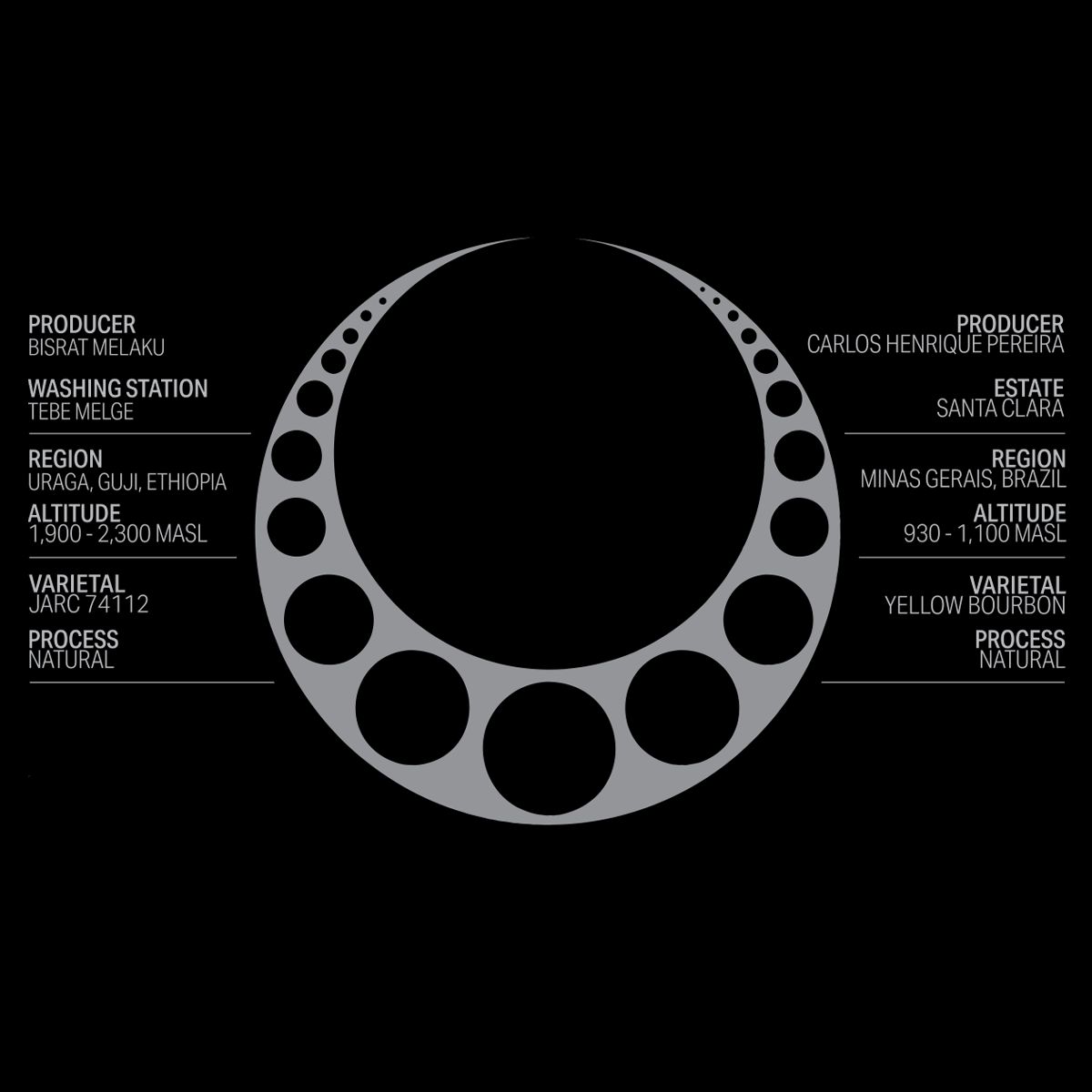THE ACACIA STRAIN · YASFGH X BMR