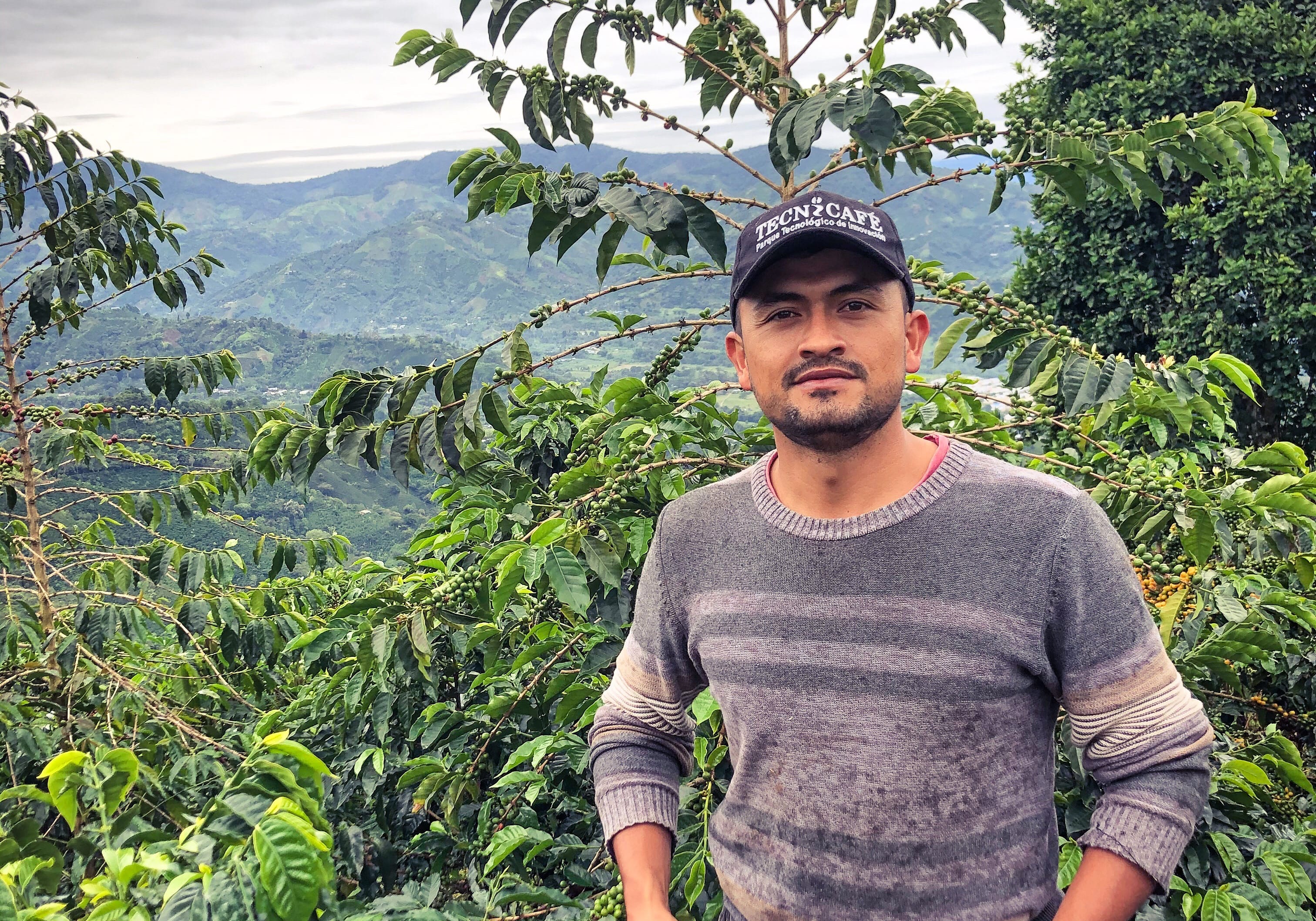 COLD TESTAMENT, Colombia
