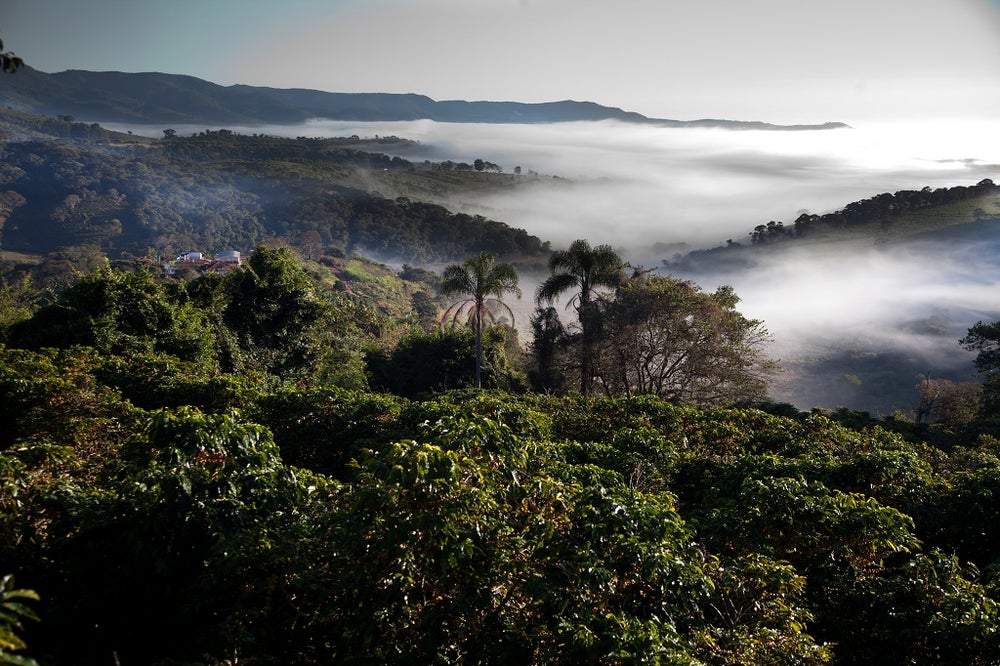 SACRIFICIAL RITE, Brazil