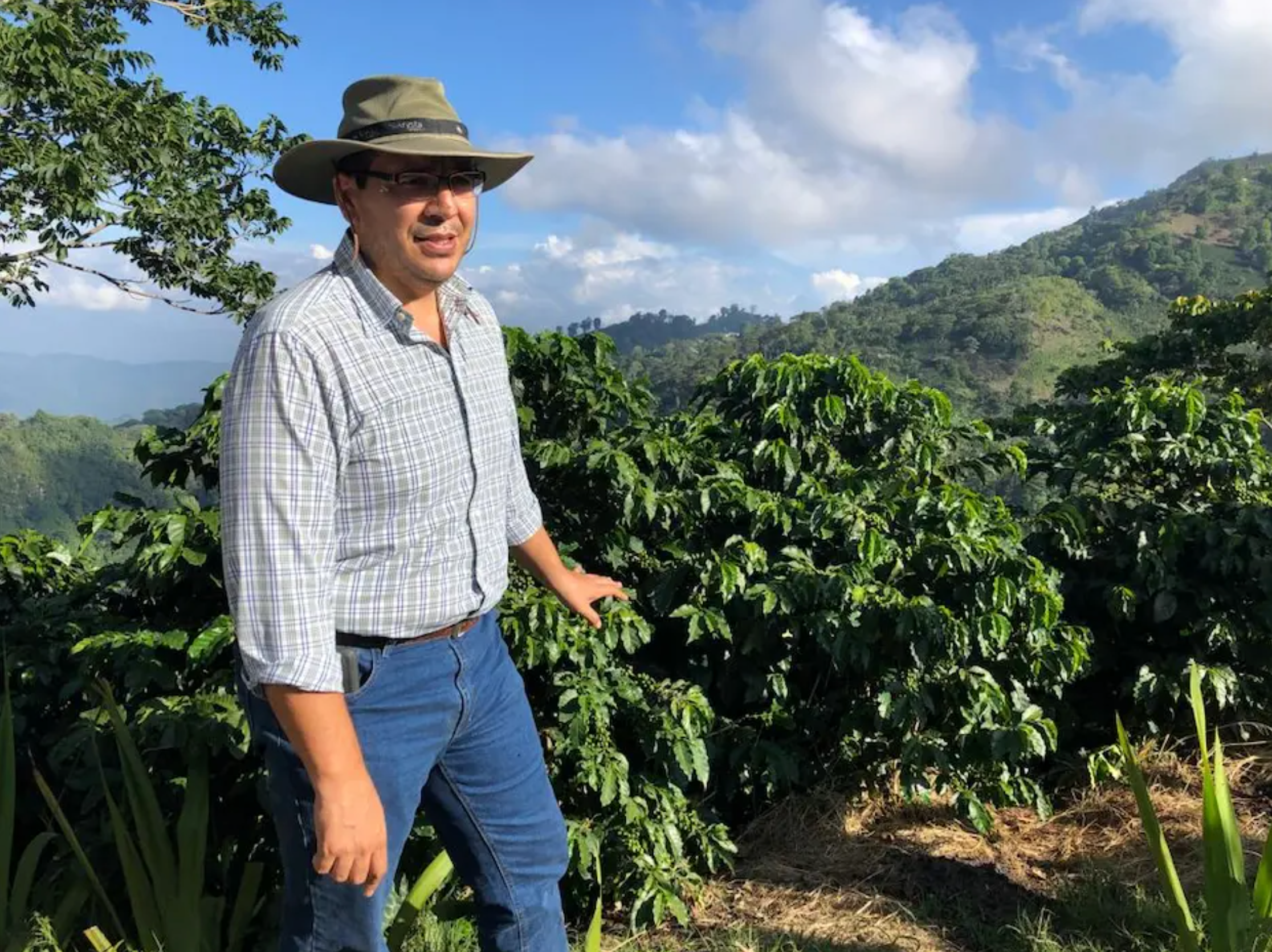 HARVEST PYRE, Honduras