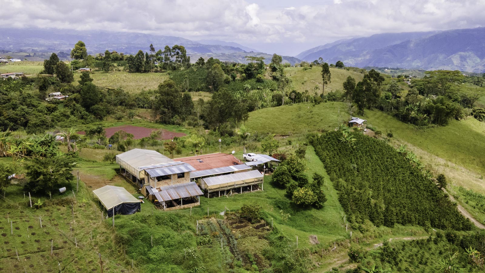 CEREMONY OV EMBERS, Colombia