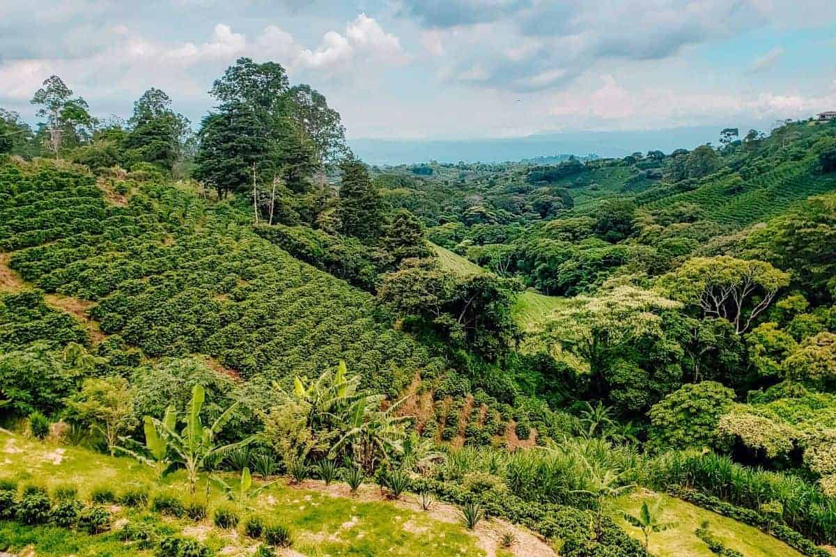SCORCHED QUADRANT, Costa Rica