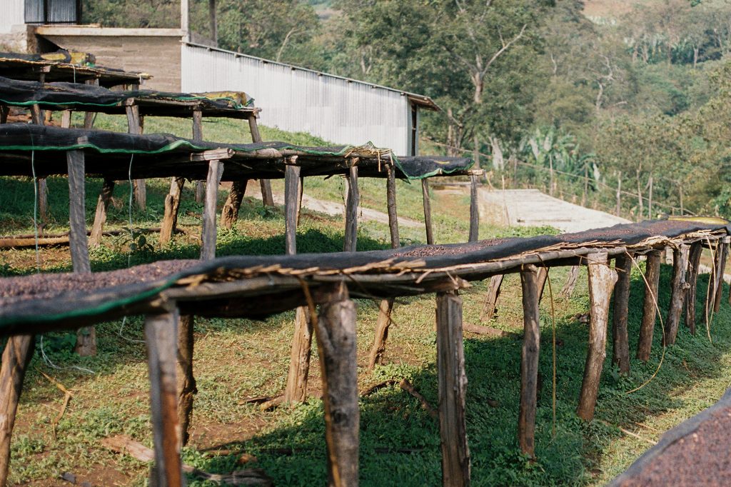 BETRAYED BY LIGHT, Ethiopia