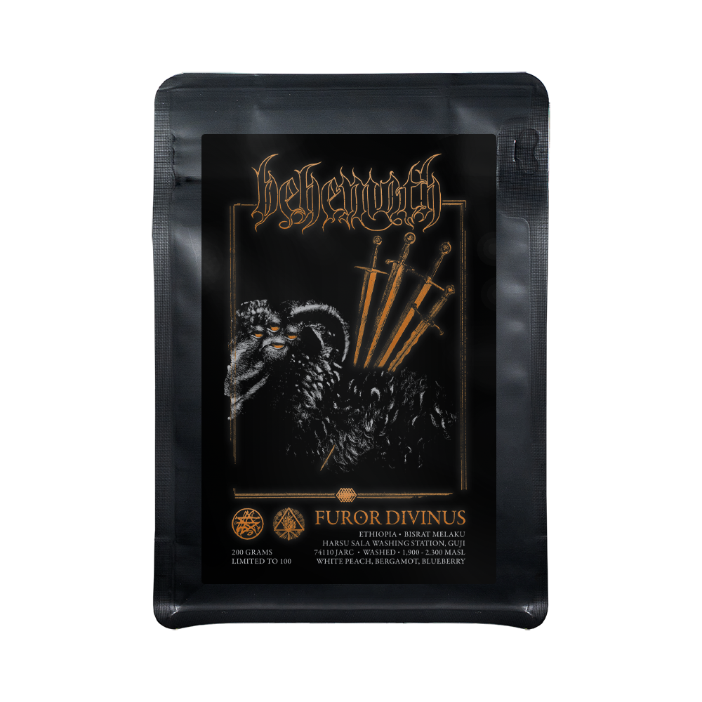 BEHEMOTH | FUROR DIVINUS